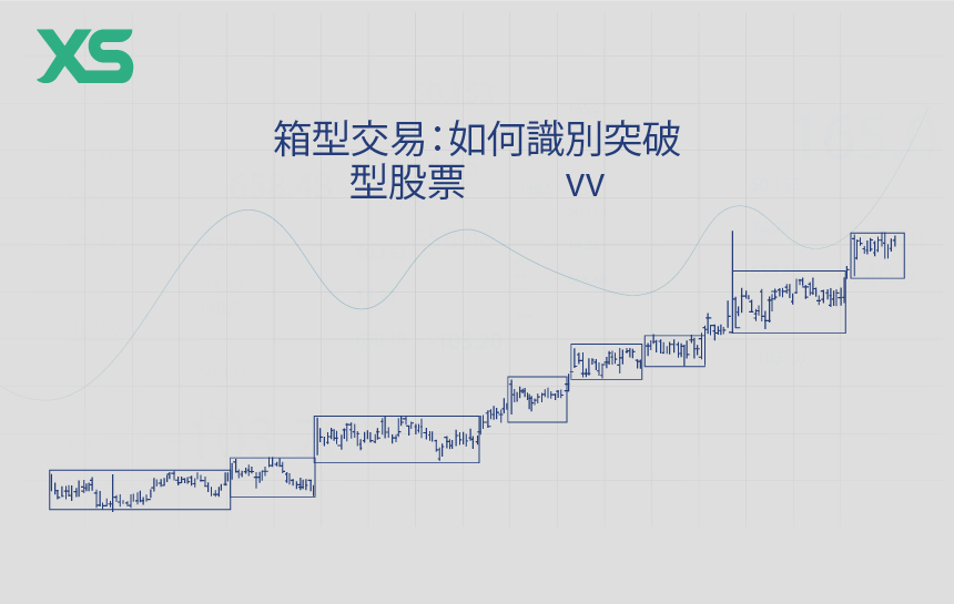 箱型交易