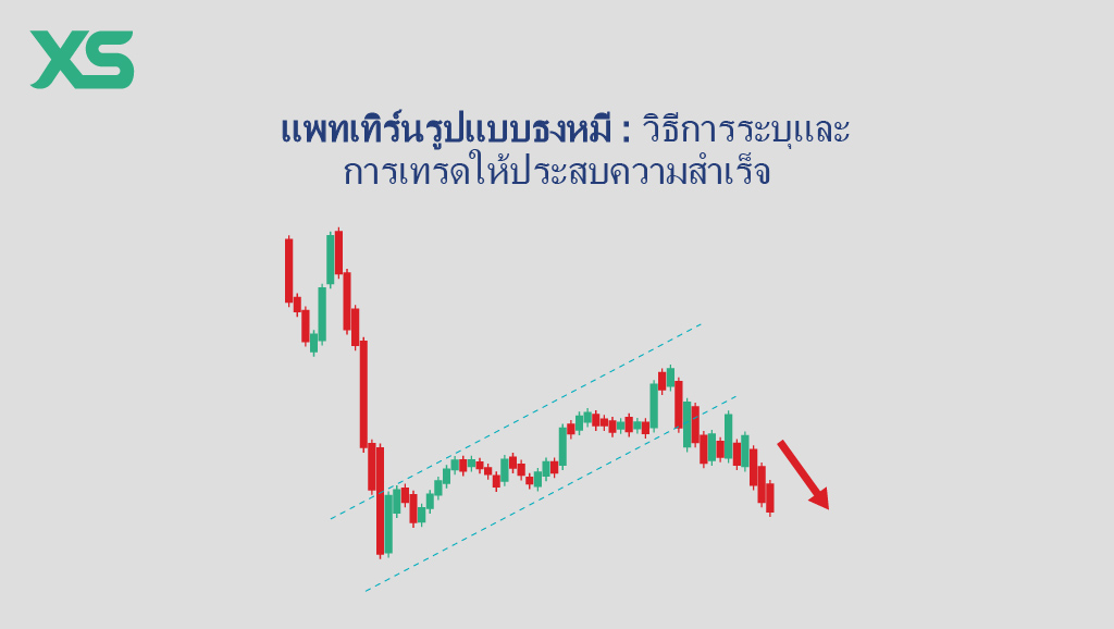 แพทเทิร์นธงหมี-xs