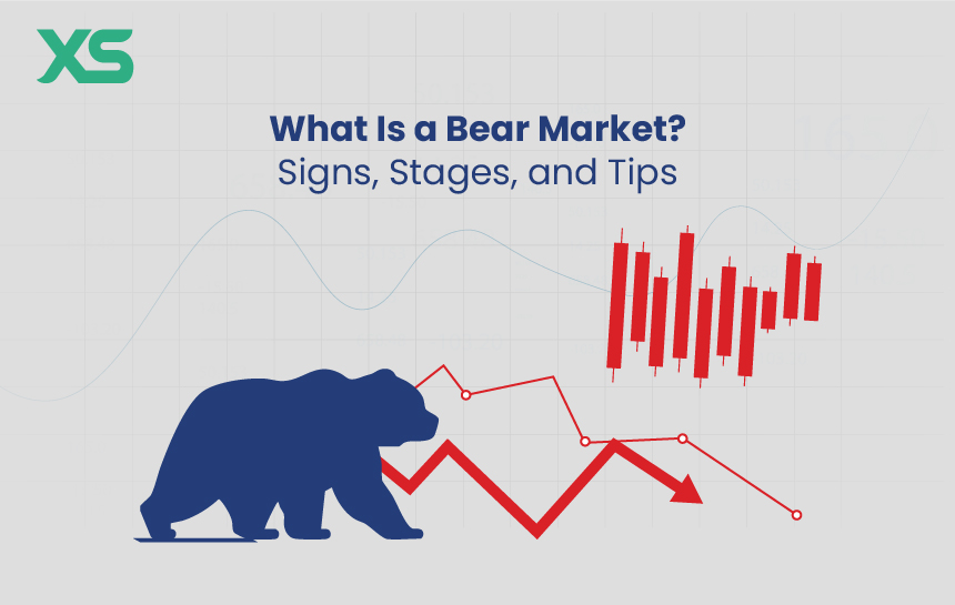 what-is-a-bear-market