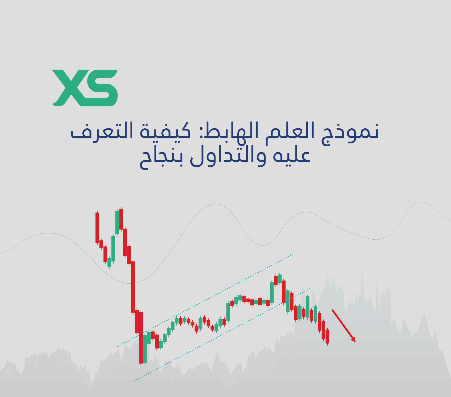 xs-نموذج-العلم-الهابط