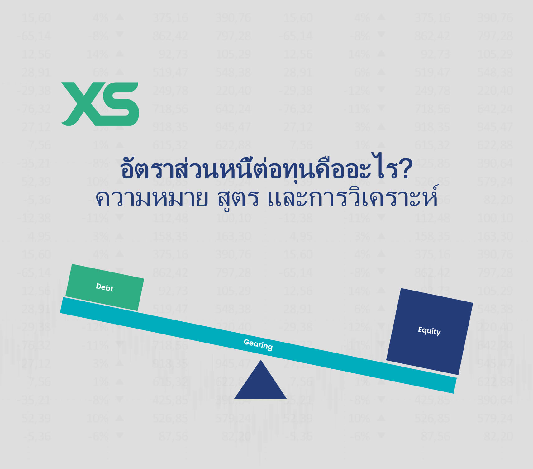 อัตราส่วนหนี้ต่อทุน-xs