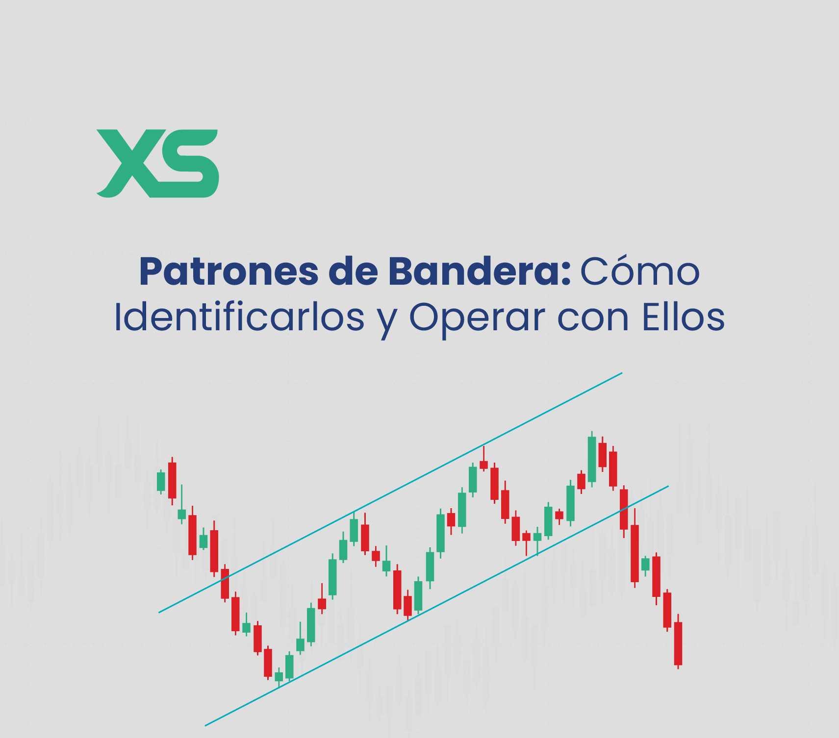 patron-bandera-xs