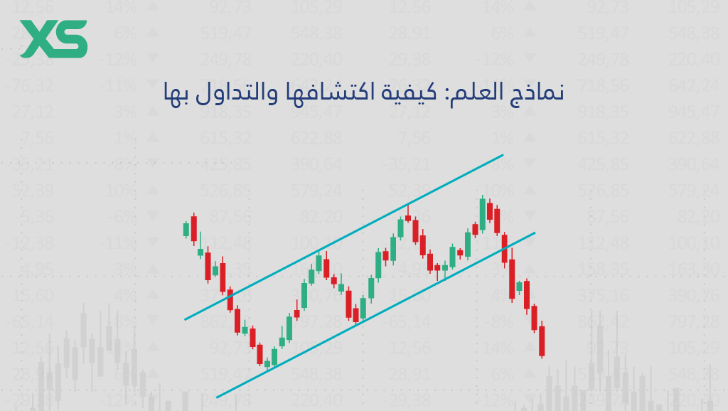 XS-نماذج-العلم