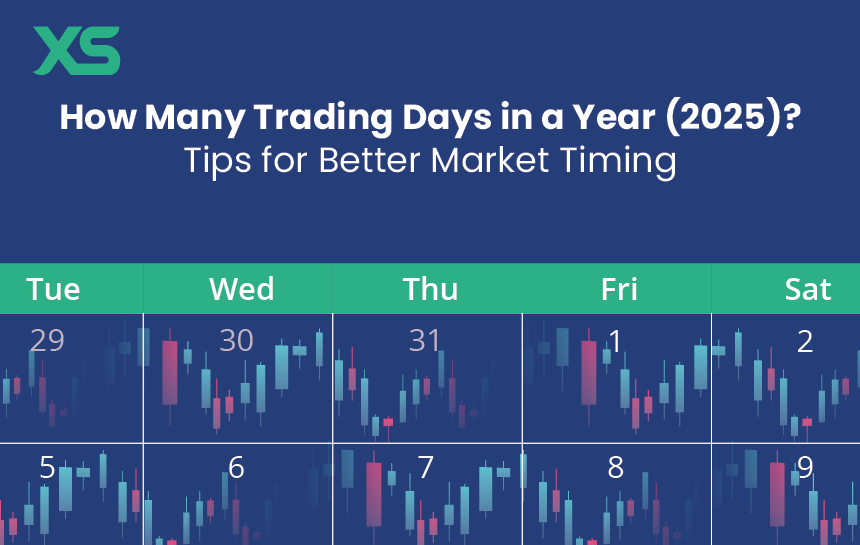 trading-days-year