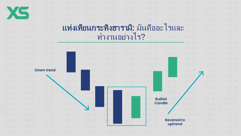 แพทเทิร์น