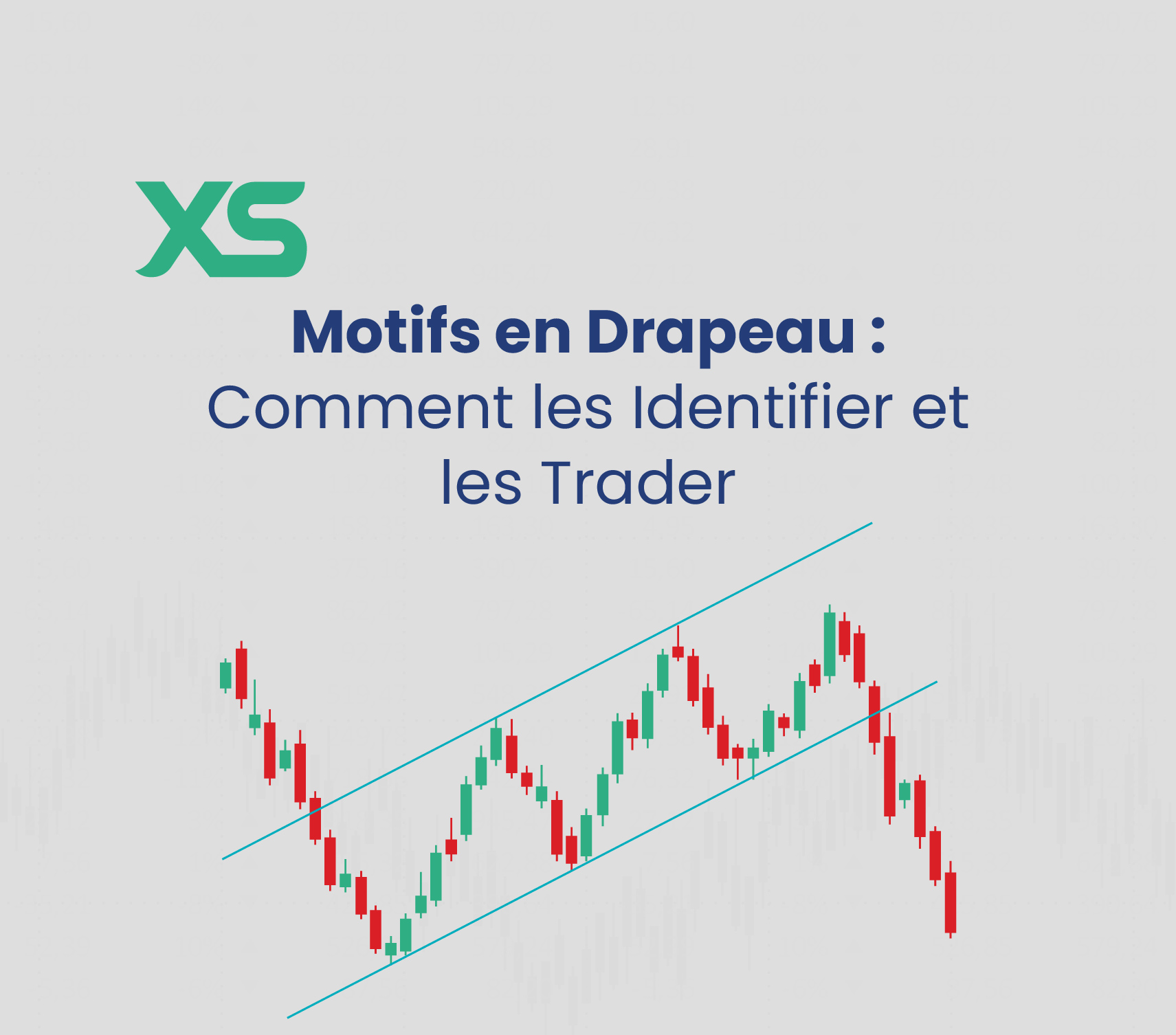 motif-en-drapeau-xs