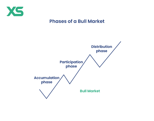 bull-market-phases