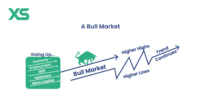 bull-market