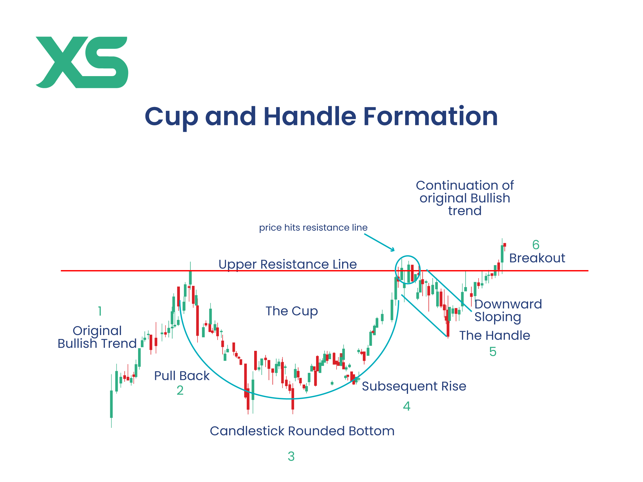 cup-and-handle-pattern-formation